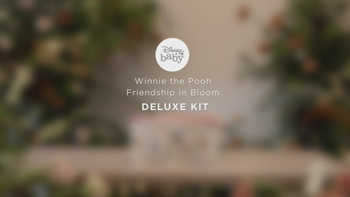 Inter-Mix Deluxe Kit in Disney's Winnie the Pooh's Friendship in Bloom